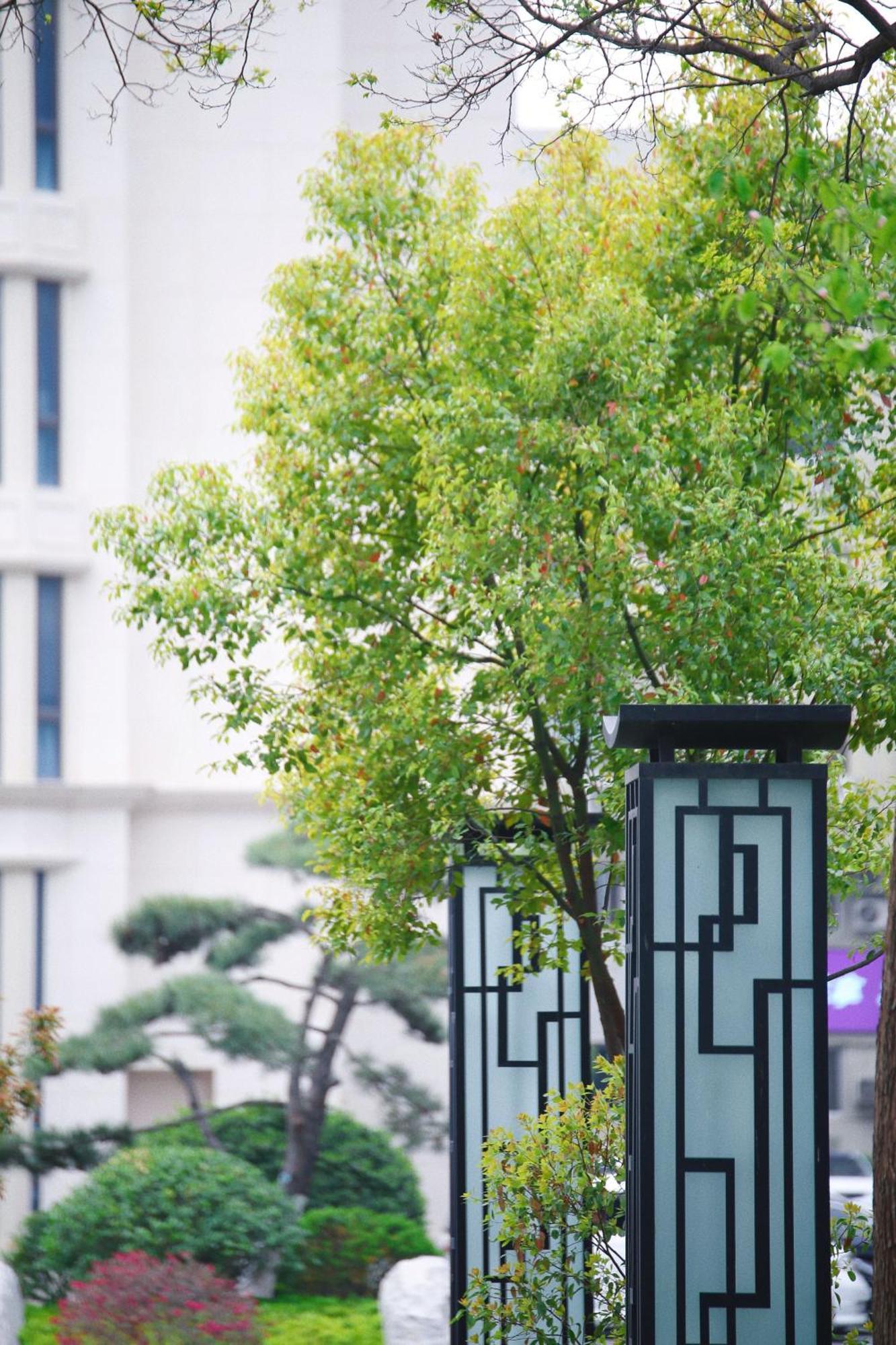 Holiday Inn Zhengzhou Zhongzhou By Ihg Exterior photo